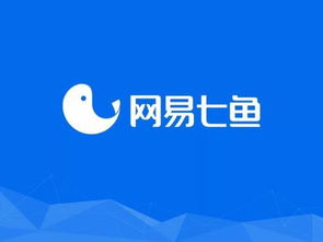 有Logo就够了吗？辅助图形在数字文化创意内容应用服务中的关键作用